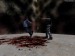 Counter-Strike%20Witch%20Project%202.jpg